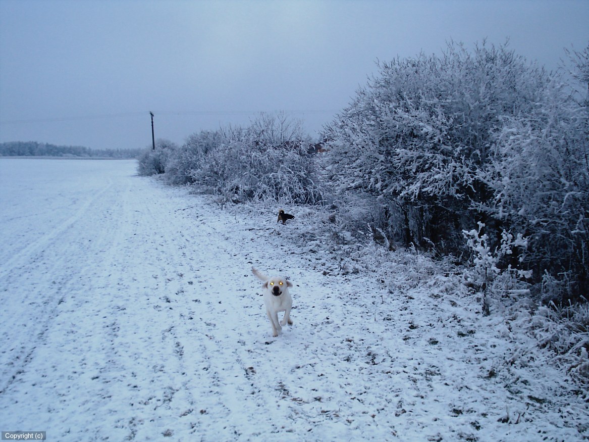 DSC00983_DCE.JPG