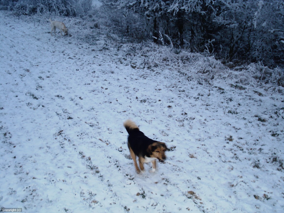 DSC00984_DCE.JPG