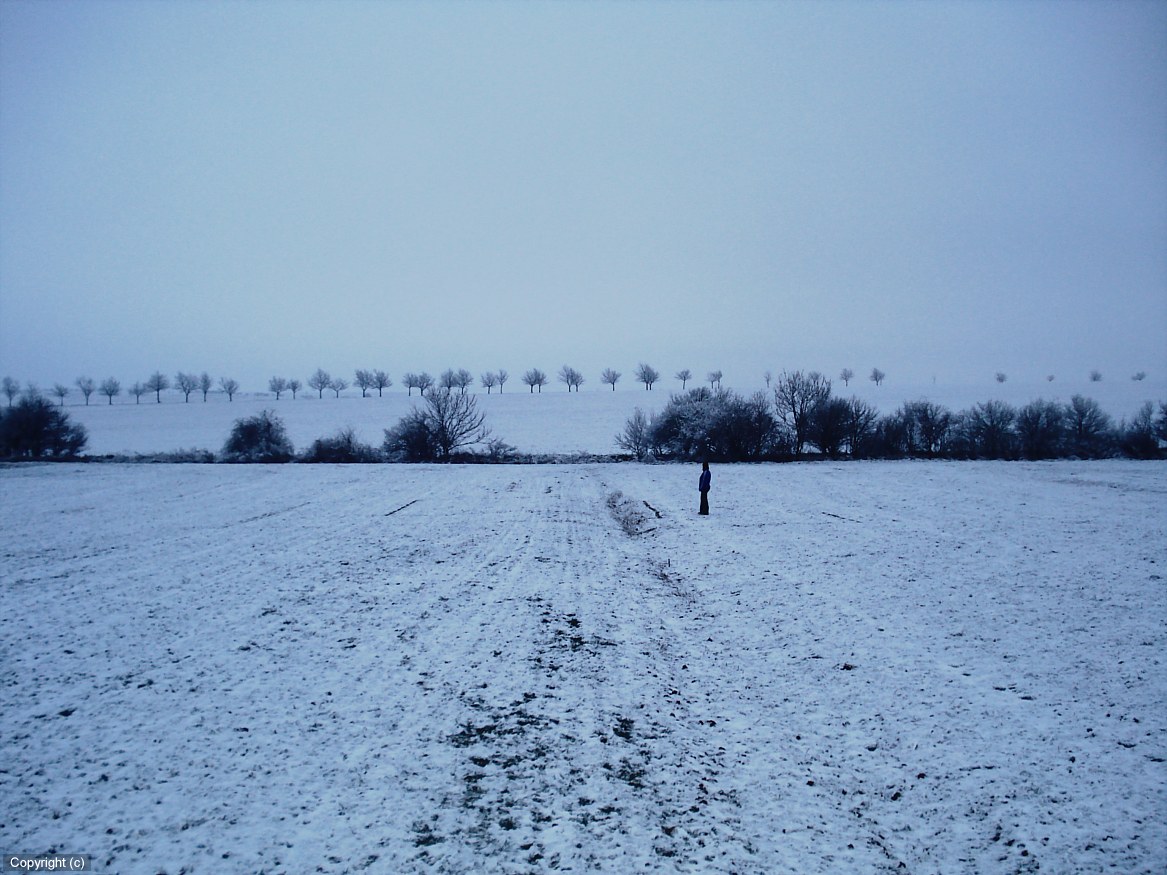DSC00985_DCE.JPG